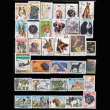 Pack de 50 Timbres Chiens - TIMBRES COLLECTIONS