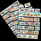 Pack de 100 Timbres Reptiles - TIMBRES COLLECTIONS