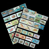 Pack de 25 Timbres Animaux Marins - TIMBRES COLLECTIONS